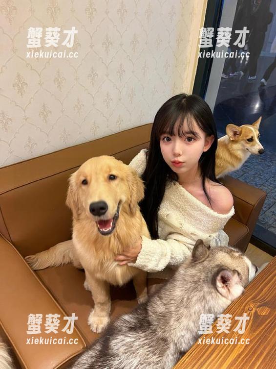 从115.su入口开始，把黑料都塞进你的瓜田里吧！