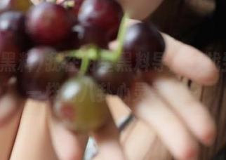 我在明星黑料导航，找到了不一样的八卦心灵导图～