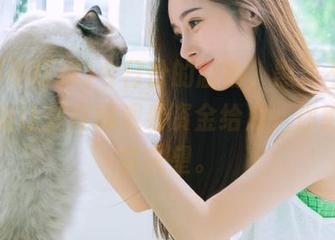 今日份的剧情，黑料不打烊苹果版让你在线观看资金给力，你绝对不会失望。