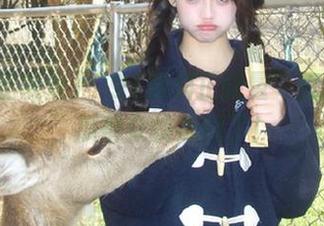 “91黑料正能量”直达你我，瓜群众快成精了！